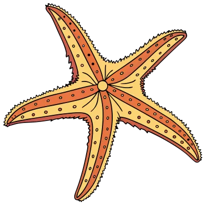 Imagen PNG para descargar